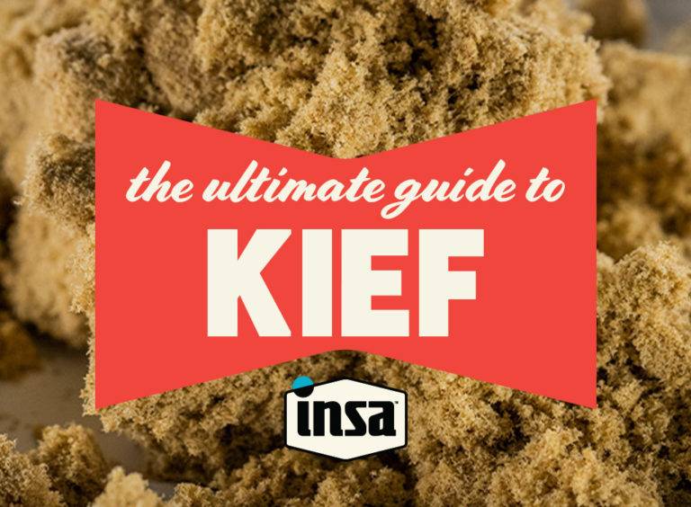 INSA Ultimate Guide to Kief