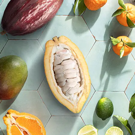 Insa Superfruit drops