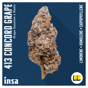 413 Concord Grape, an Insa Signature Genetic