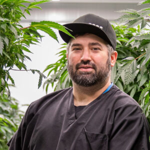 Frank Golfieri, our Director of Cultivation and the creator of Insa Signature Genetics