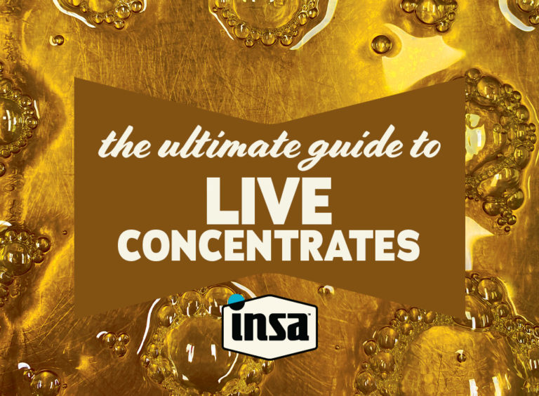 Insa's Ultimate Guide to Live Cannabis Concentrates