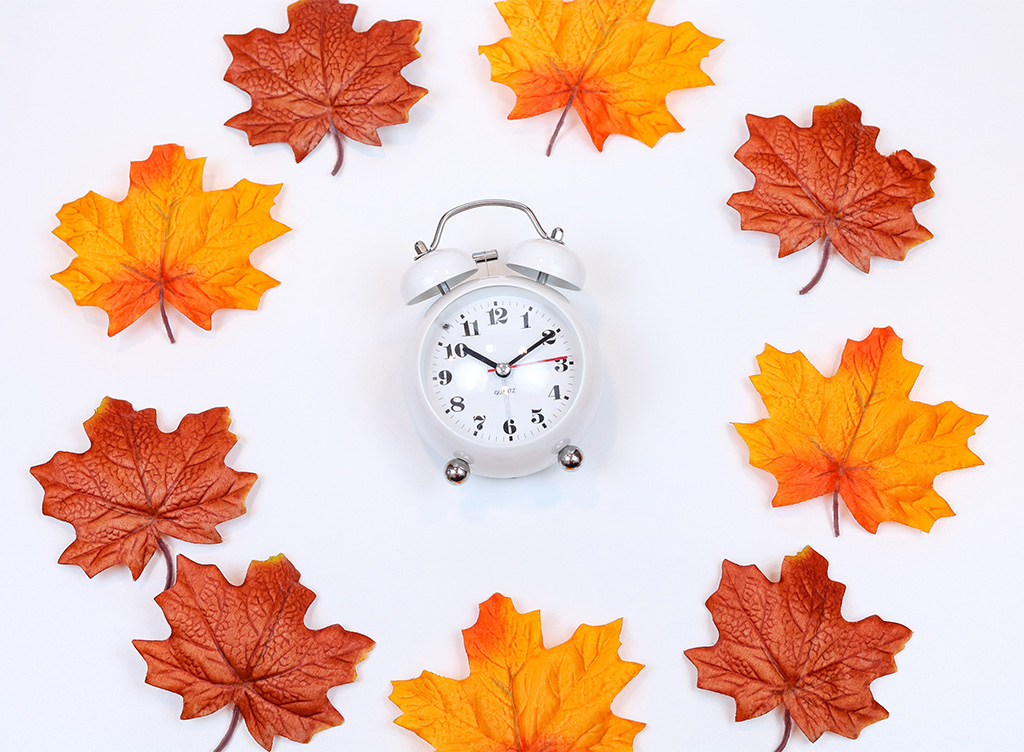 A Clock surrounded by Maple Leaves
