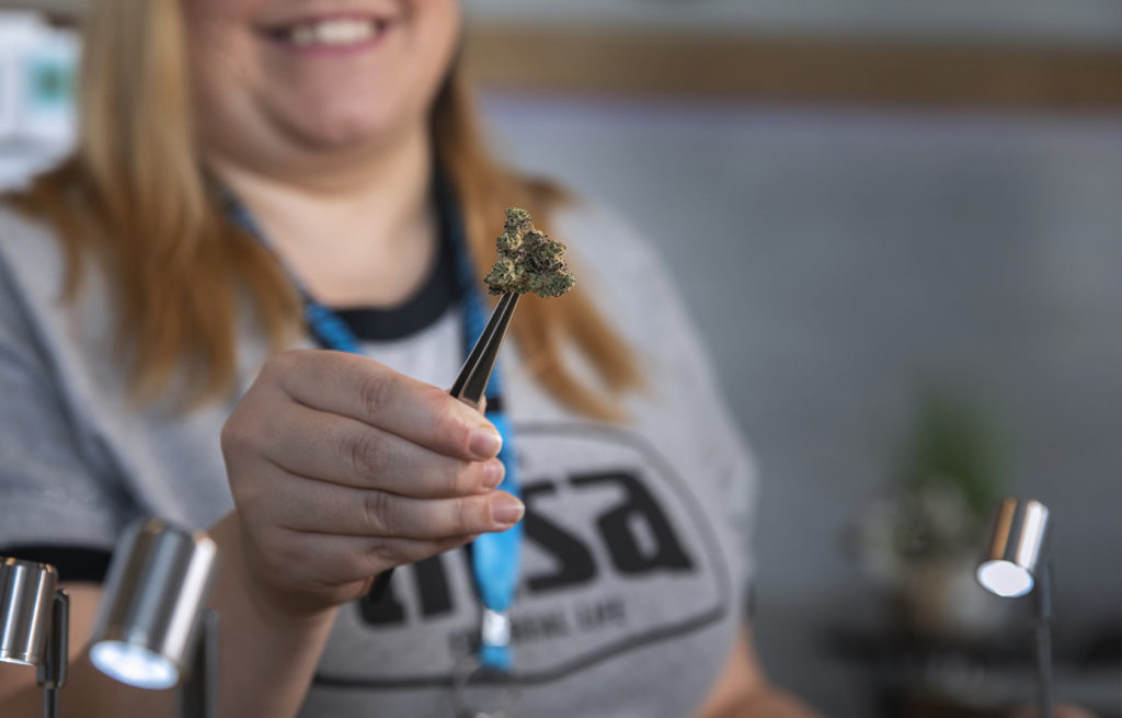 INSA's Lisa Black holding a Cannabis Nug