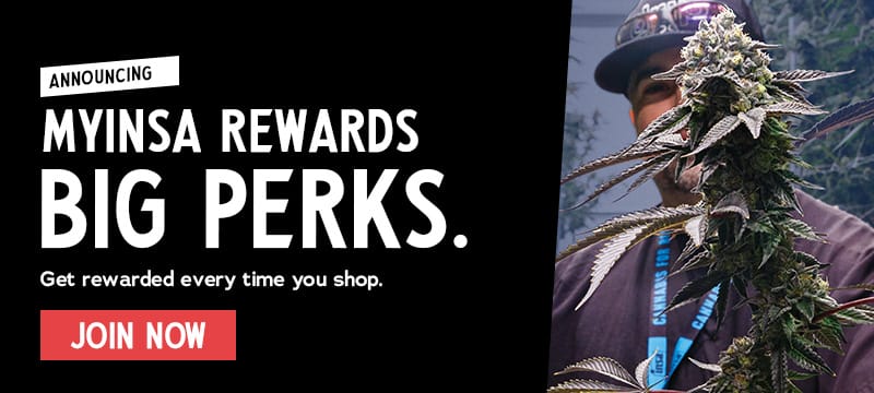 Insa Loyalty Program