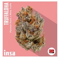 INSA Cannabis Truffles