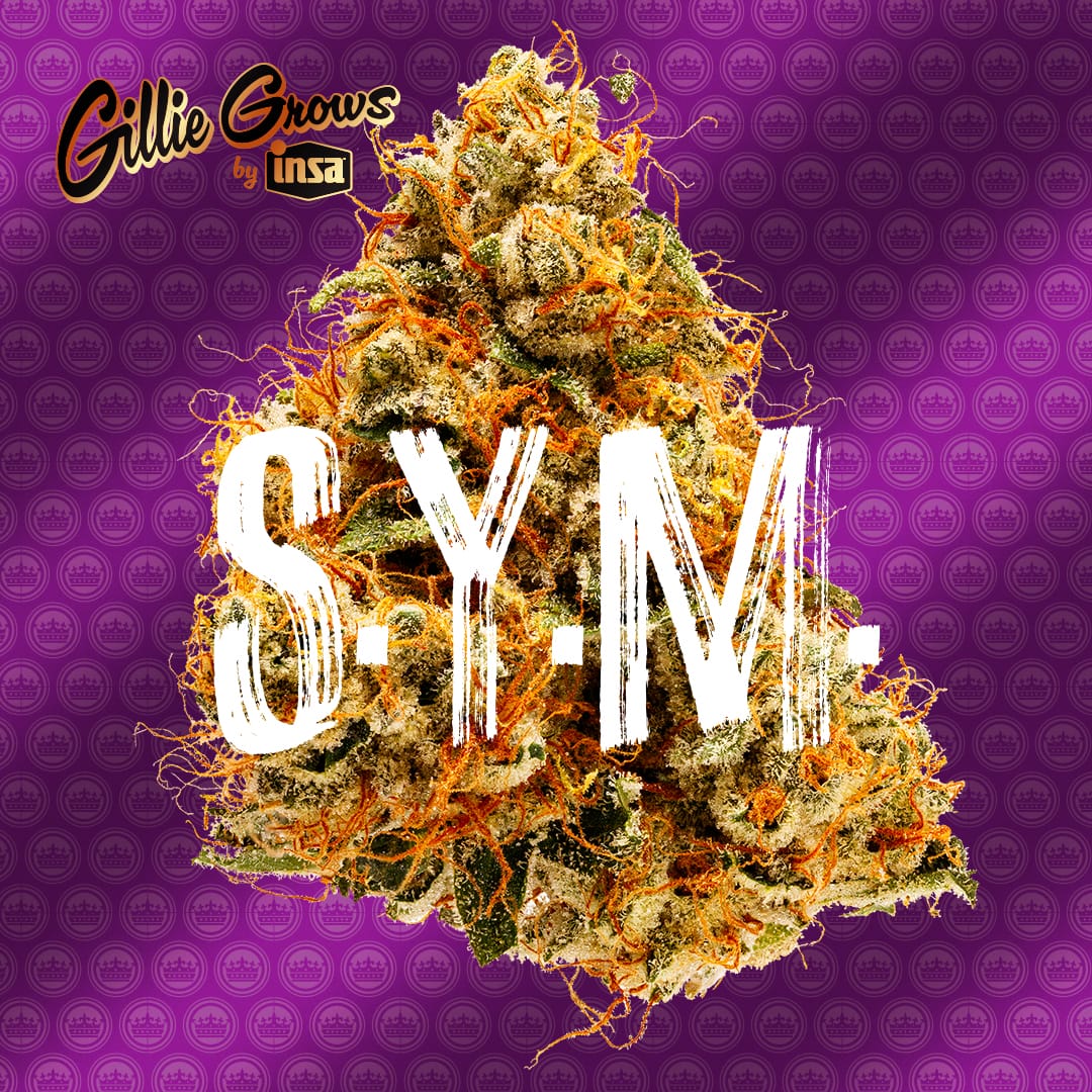 gillie grows by insa -sym