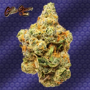 Gillie Grows by Insa = Gillie Wnka