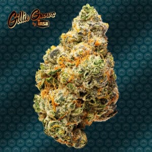 Gillie Grows by Insa - Mule Kick