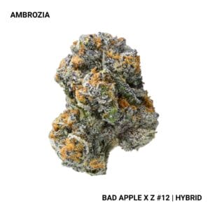 Connected - Ambrozia