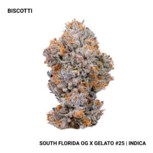 Connected - Biscotti