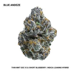 Connected - Blue Andeze