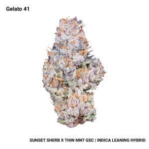 Connected - Gelato 41