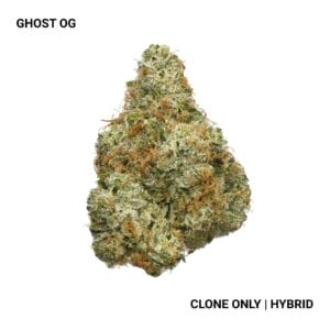 Connected - Ghost OG