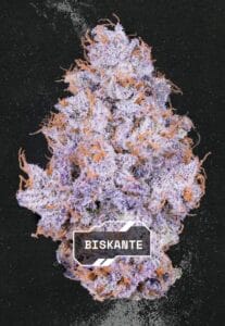 Alien Labs - Biskante