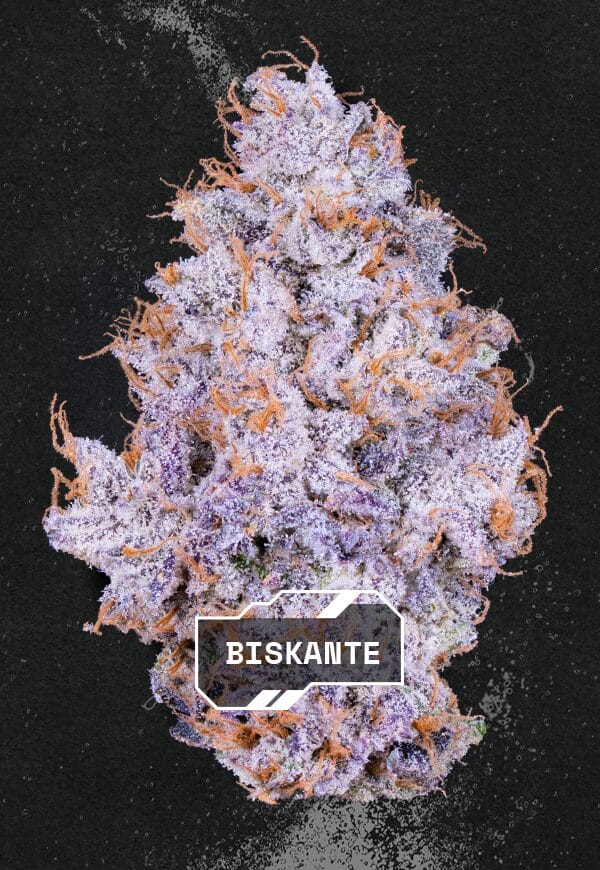 Alien Labs - Biskante