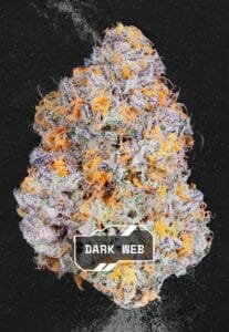 Alien Labs - Dark Web