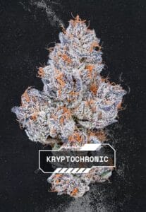 Alien Labs - Kryptochronic