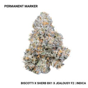 Connected - Permanent Marker