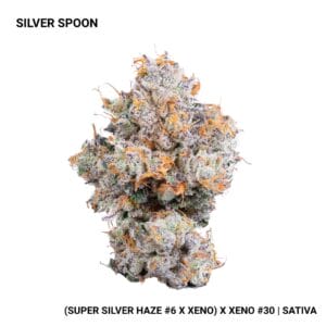 Connected - Silver Spoon