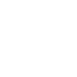 Insa