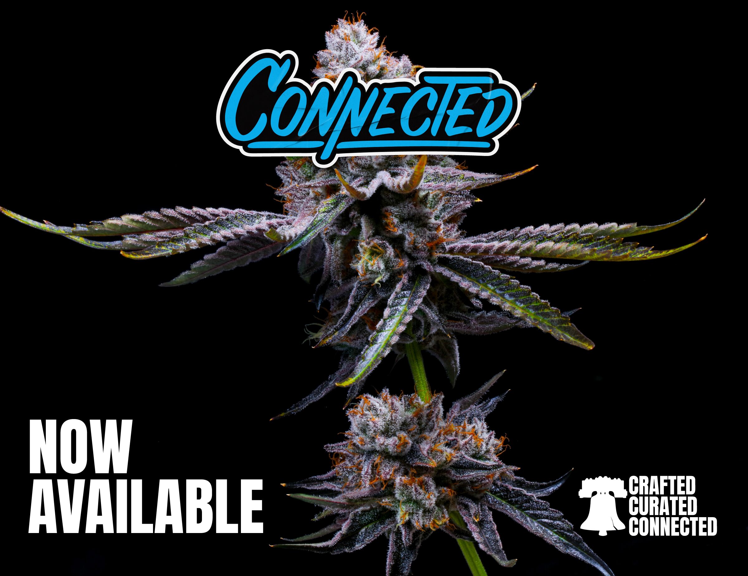 Connected - Now Available