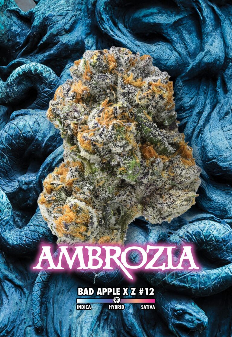 Connected - Ambrozia