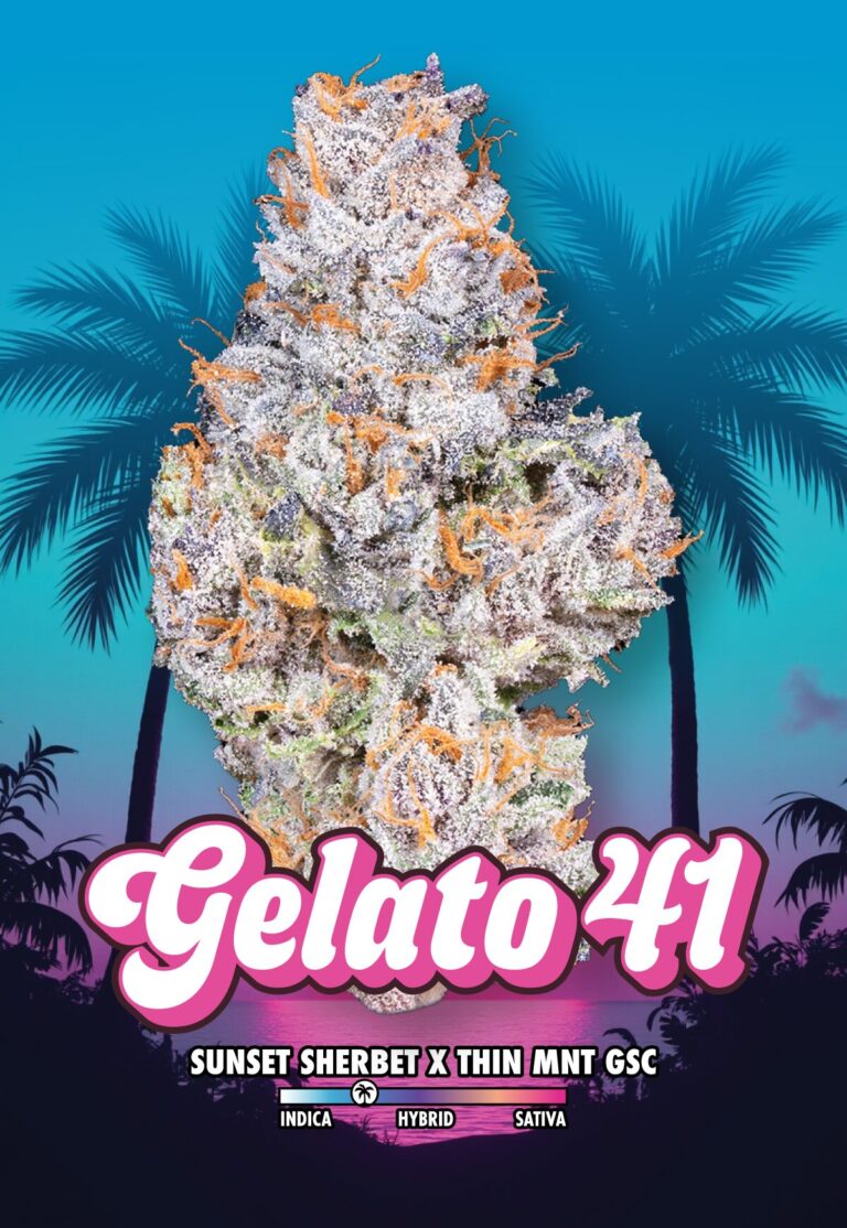 Connected - Gelato 41