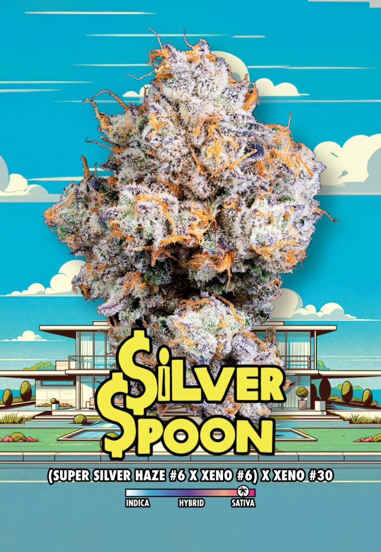 Connected - Silver Spoon