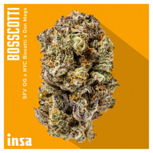 The August Drop List: Bosscotti