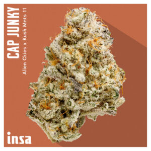 The August Drop List: Cap Junky