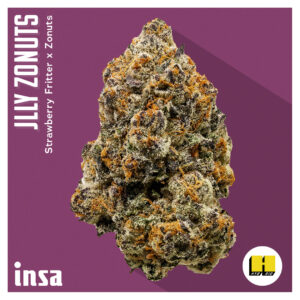 The August Drop List: Jlly Zonuts