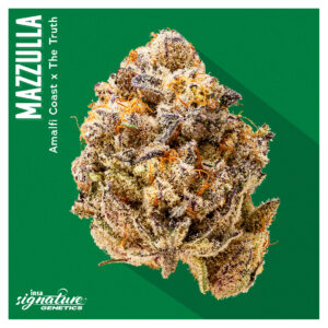 August Drop List - Mazzulla