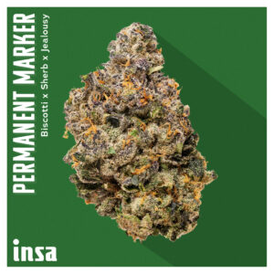August Drop List - Permanent Marker
