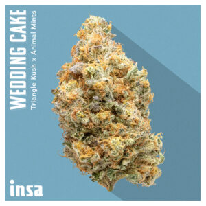 August Drop List - Wedding Cake