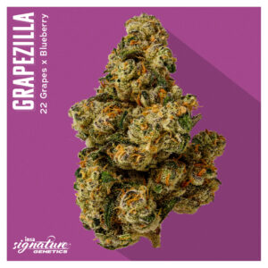 September Drop List - Grapezilla