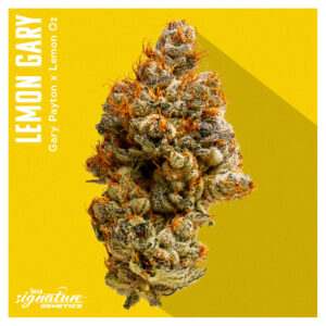 September Drop List - Lemon Gary