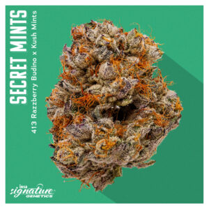 September Drop List - Secret Mints