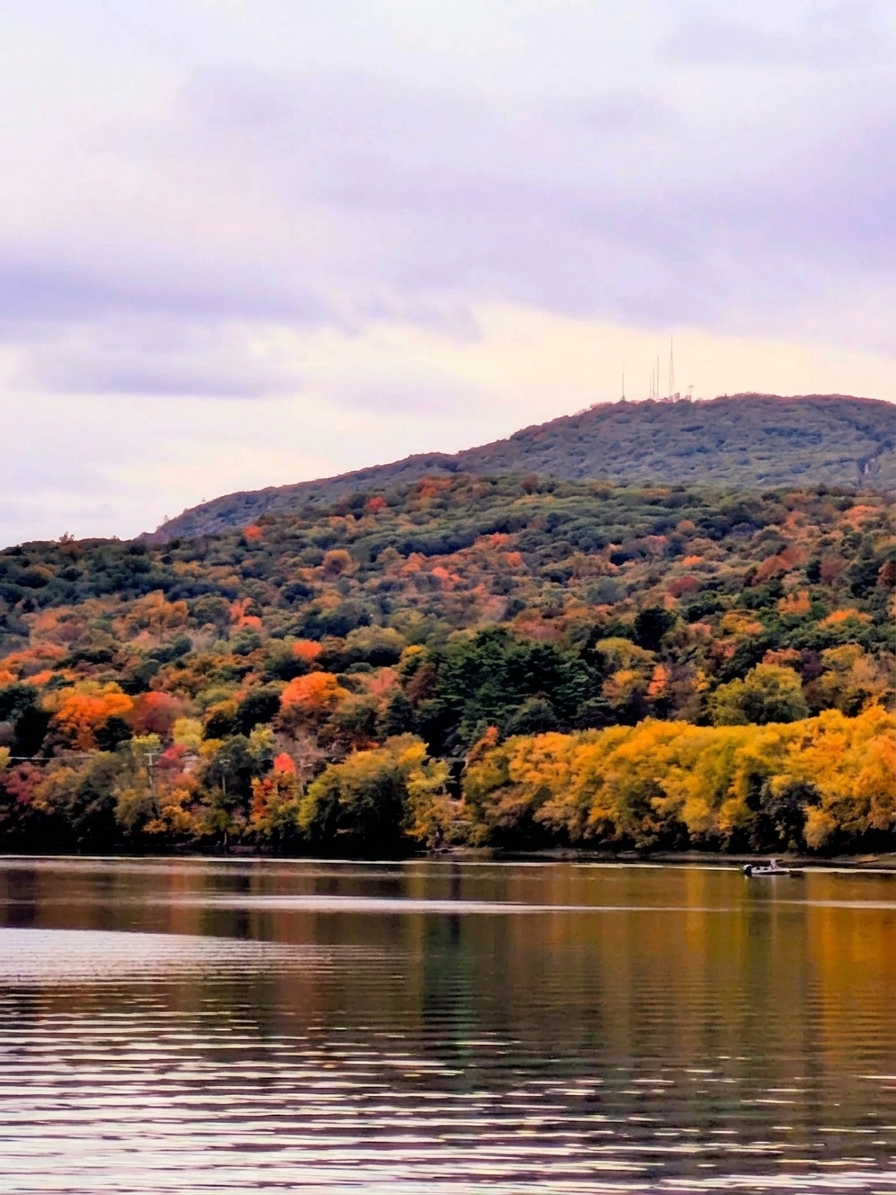 Fall cannabis products cover photo. A view of a foliage covered Mt. Tom.