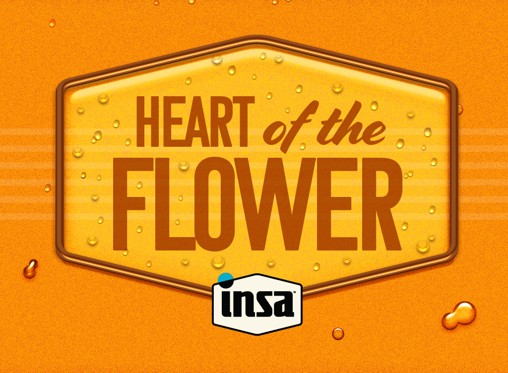 Cannabis concentrates - heart of the flower INSA